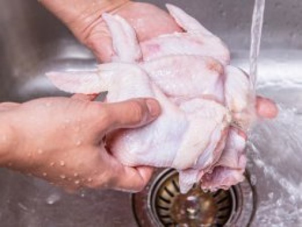Uzmanlardan uyarı: Tavuğu yıkamadan pişirin