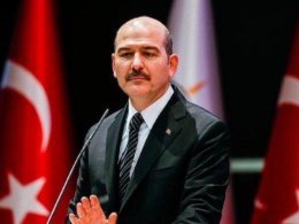 Şiddete maruz kalan 393 kadın hayatını kaybetti