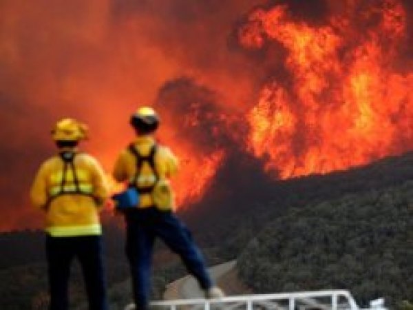 California'daki yangınlarda ölü sayısı 74'e yükseldi