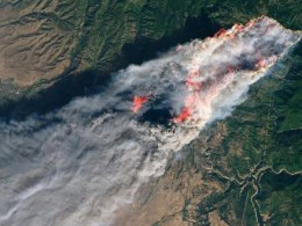 California'daki yangınlarda ölü sayısı 76'ya çıktı