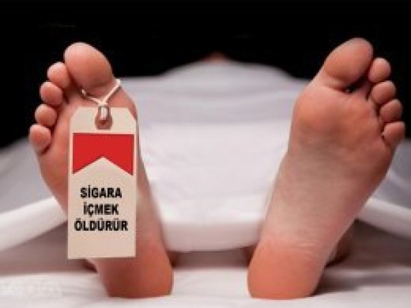 Her yıl 7 milyon kişi sigaradan ölüyor