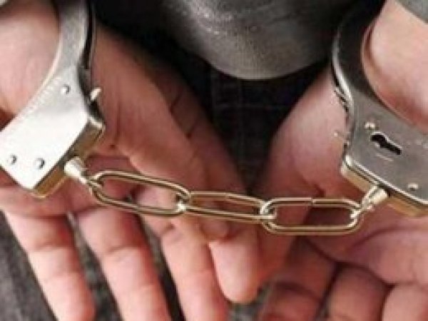 Karlıova'da PKK operasyonu: 2 gözaltı
