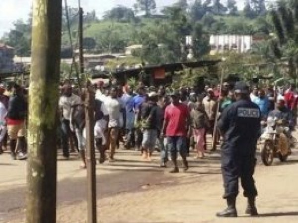 Kamerun'da 30'u üniversitesi öğrencisi 40 kişi kaçırıldı