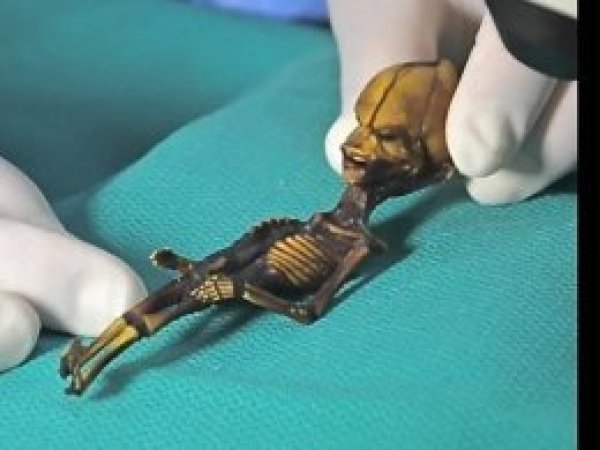 'Uzaylı' sanılan 15 santimlik mumyanın hikayesi ortaya çıktı