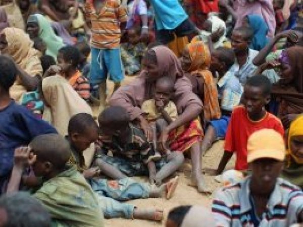 FAO'dan Somali için 236 milyon dolarlık yardım çağrısı