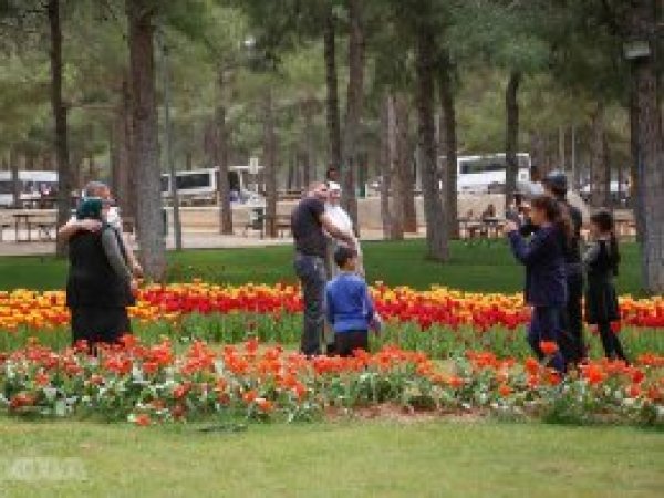 Lalelerle süslenen Dülük Tabiat Parkında bahar keyfi