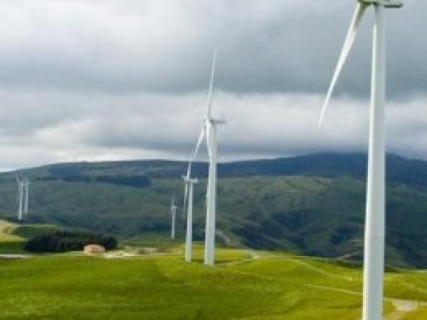 Almanya'dan yenilenebilir enerji rekoru