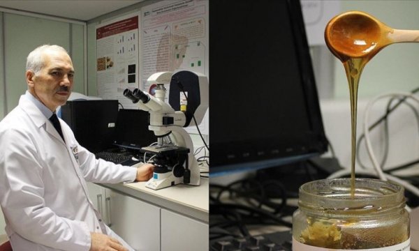 Kanser hücrelerinin yeni silahı 'siyah bal'