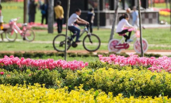 Dünya tarihinin kaydedilmiş en sıcak sonbaharı yaşanıyor