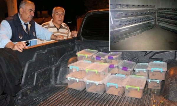 Polis baskınında ortaya çıktı! Litresi 10 milyon $