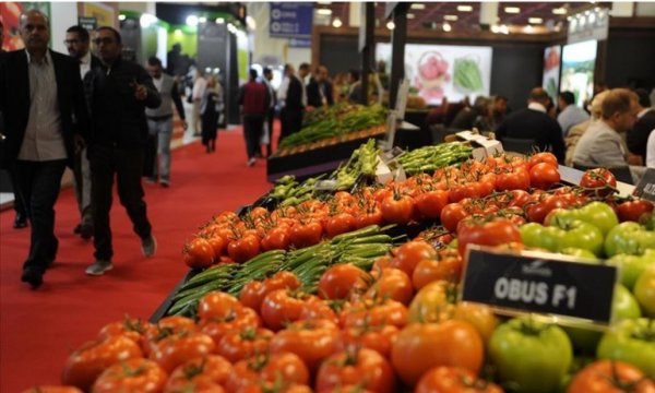 Dünyanın en büyük seracılık fuarı Antalya'da başladı