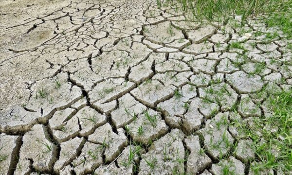 'iklim değişikliği 21'inci yüzyılda en büyük sağlık tehdidi'