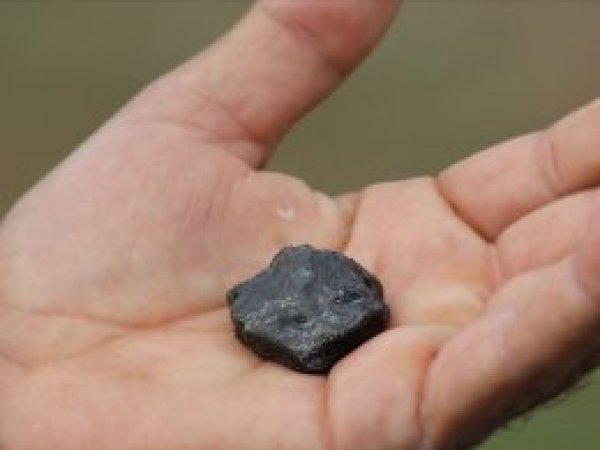 Sarıçiçek gök taşı 'Vesta'dan gelmiş