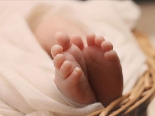 Türkiye'nin doğum istatistikleri açıklandı