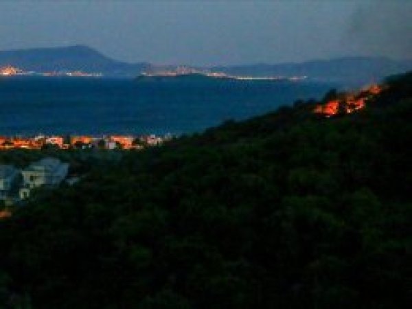 'Orman yangınlarının yüzde 80'i insanlardan kaynaklı' 
