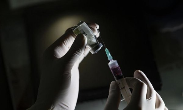 DSÖ: Kovid-19 aşı denemelerinin sonuçları kasım sonunda alınabilir