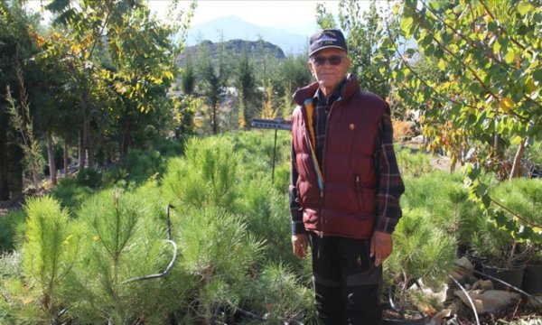 'Geleceğe nefes olsun' diye ömrünü ağaçlandırmaya adadı