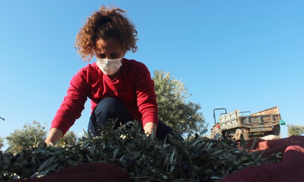 Kadın girişimciden zeytinyağını ihracat başarısı