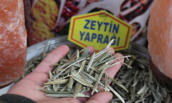 Kainat eczanesinden zeytin yaprağı ve kekik bağışıklık sistemini güçlendiriyor