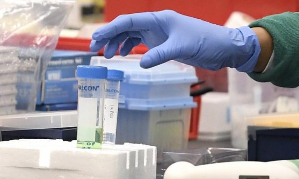 Belçikalı bilim insanları: Koronavirüsü etkisiz hale getirdik