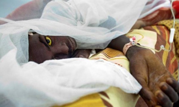 Güney Sudan'ın güneyinde sarı humma salgını başladı