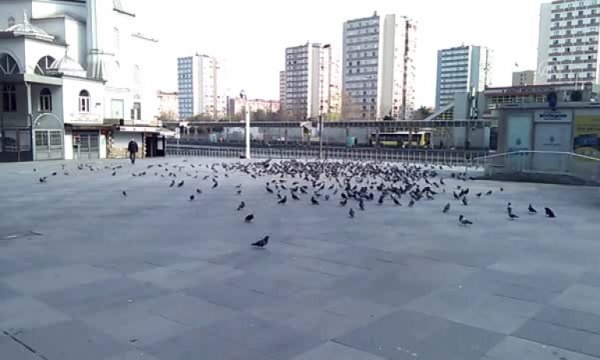 Sokağa çıkma kısıtlamasının olduğu kentlerde sessizlik hakim 
