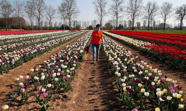 İtalya 200 bin düzensiz göçmene çalışma izni vermeye hazırlanıyor