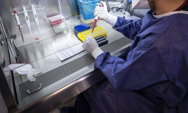 Türkiye'den koronavirüs testi şartı arayan ülkelere gidecekler ücretli test yaptırabilecek