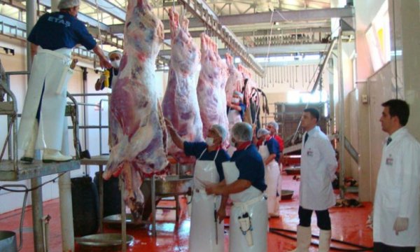 Kasaplardan 'kurban kesimi' uyarıları