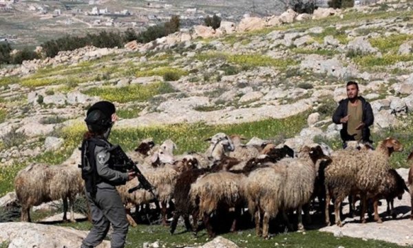 İsrail askerleri Lübnanlı bir çobanı kaçırdı