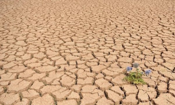 WMO'dan kritik uyarı! 'Acil eylem planına ihtiyaç var'