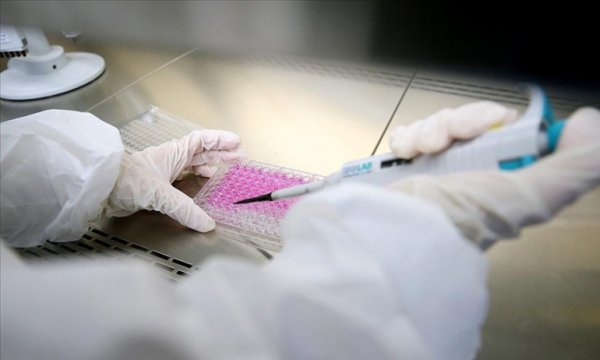 Japon bilim insanları yaşlılıkla türeyen 'zombi hücrelere' karşı aşı üretti