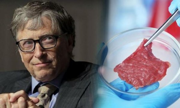 Bill Gates'ten zengin ülkelere çağrı: Yapay et tüketimine geçin 