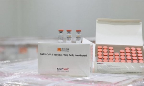 Yüzde 99,6 antikor üretti
