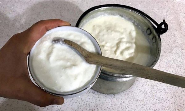 Sağlıklı bir bağışıklık sistemi için 'kefir ve kefirli yoğurt tüketin' tavsiyesi