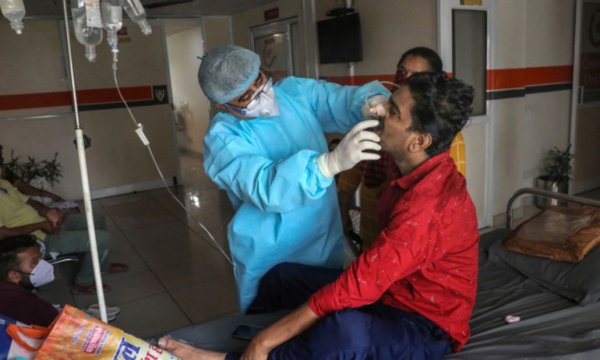 Hindistan'da ilk kez ''yeşil mantar'' enfeksiyonu görüldü