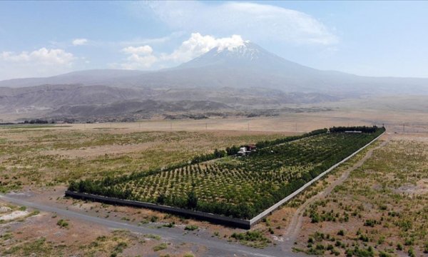 Ağrı Dağı eteklerindeki çorak araziyi vahaya dönüştürdü