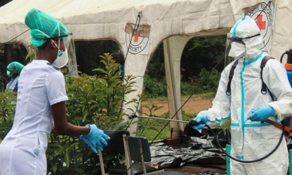 Afrika alarm veriyor: Sayı 162 bini geçti