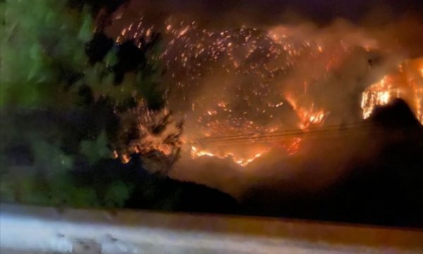Tarım ve Orman Bakanı güzel haberler verdi