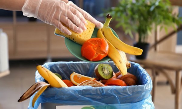 Türkiye'de her yıl neredeyse 19 milyon ton gıda ziyan oluyor