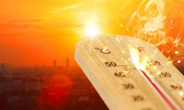 Dünya genelinde son 7 yıl 'en sıcak yıllar' olarak kayıtlara geçti