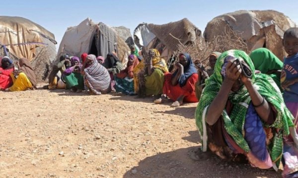 Birleşmiş Milletler: Kuraklık Somali'de yaklaşık 1 milyon kişiyi etkiledi