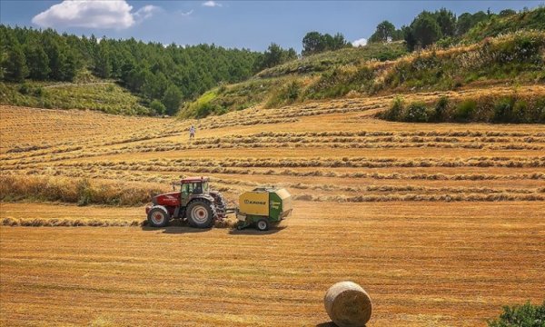 AB, 5 yılda tarıma 300 milyar avronun üzerinde kaynak sağlayacak