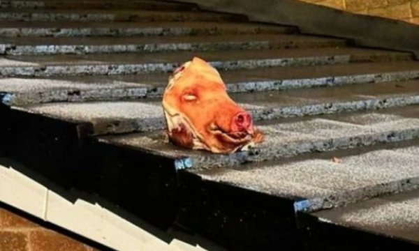 İngiltere'de Müslümanlar hedefte: Mescide kesik domuz başı atıldı