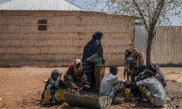 "Kuraklık Somali'de 4,3 milyon kişiyi etkiledi"