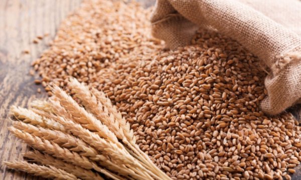 Buğday fiyatları tüm zamanların en yüksek seviyesine çıktı