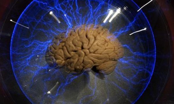  Araştırma: Ölümden dönenlerin anlattıkları halüsinasyon değil