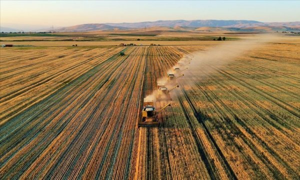 Türkiye, tarım yapmak için 10 ülkede arazi kiralayacak