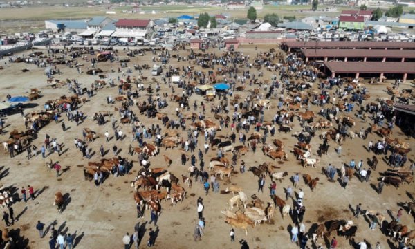 Kurban Bayramı 9 Temmuz Cumartesi günü başlayacak