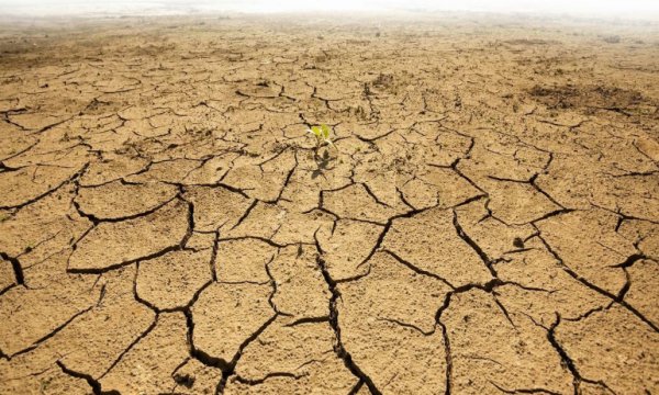 ABD'de 1200 yıldır görülmeyen bir iklim felaketi: Mega kuraklık